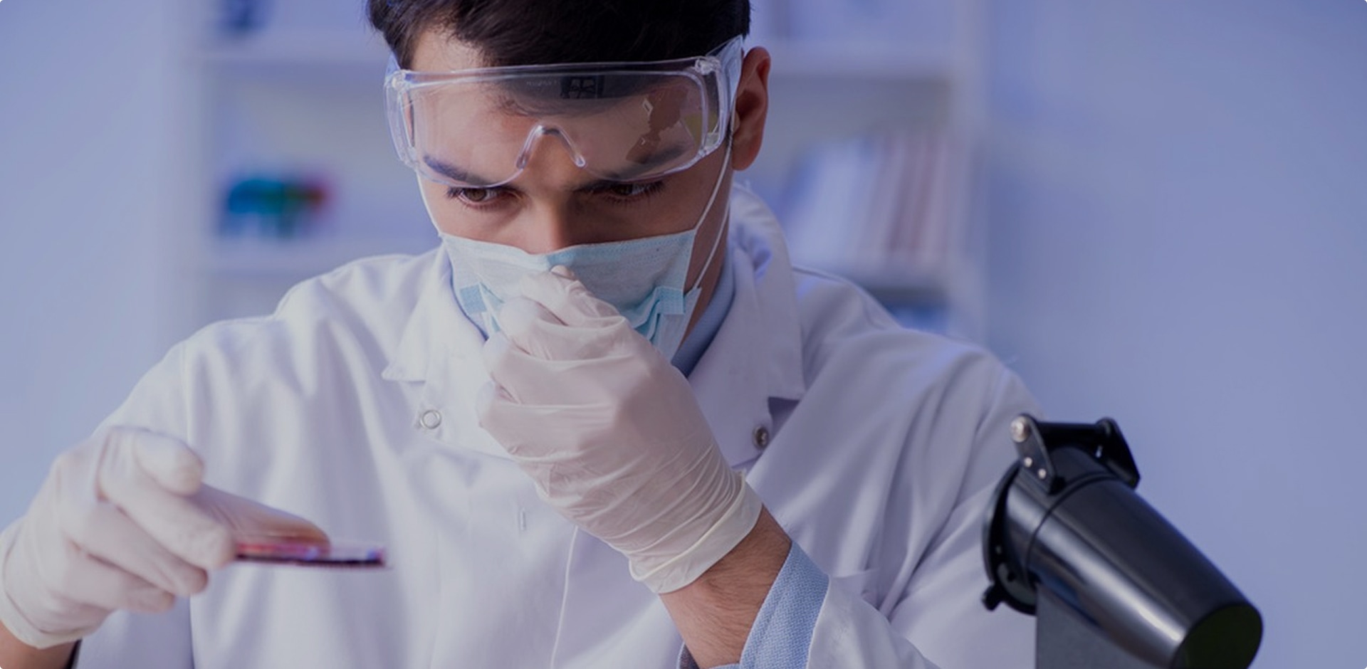 banner03.jpg